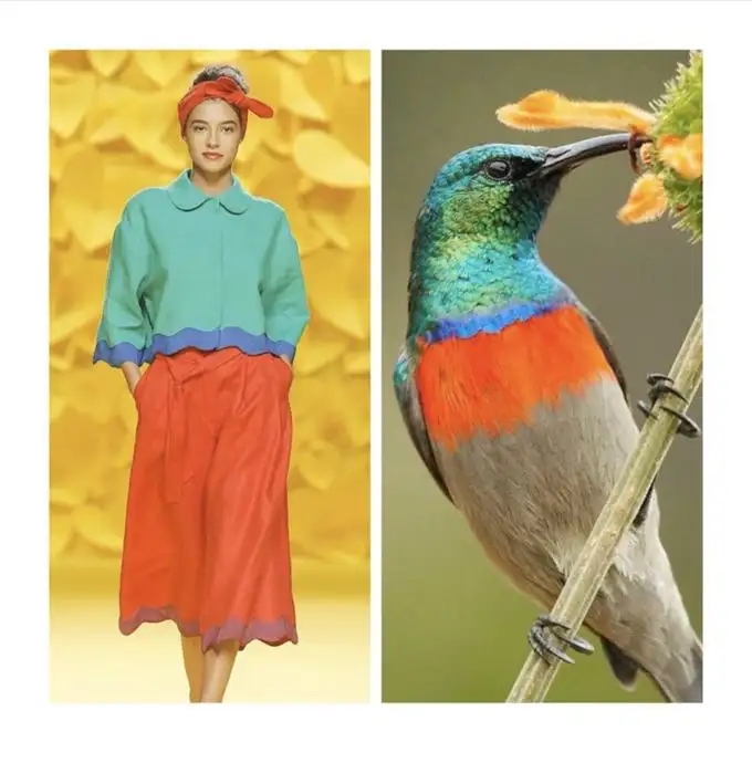 Grafisch design trends Natural inspirations