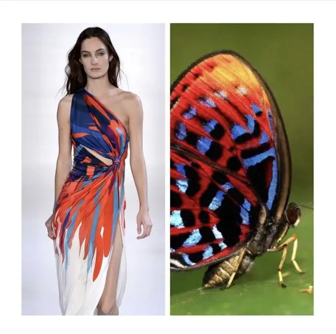 Grafisch design trends Natural inspirations