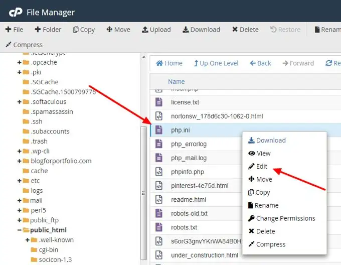 Waar is php.ini in Cpanel