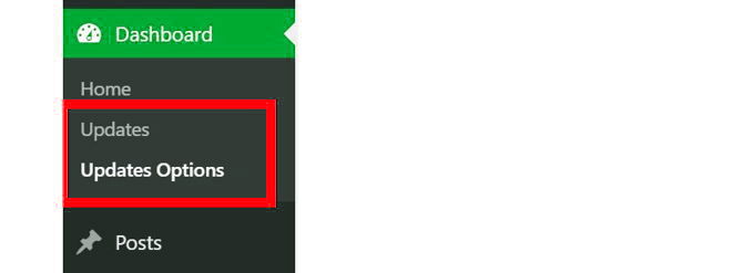 WordPress Auto-Update uitzetten plugin