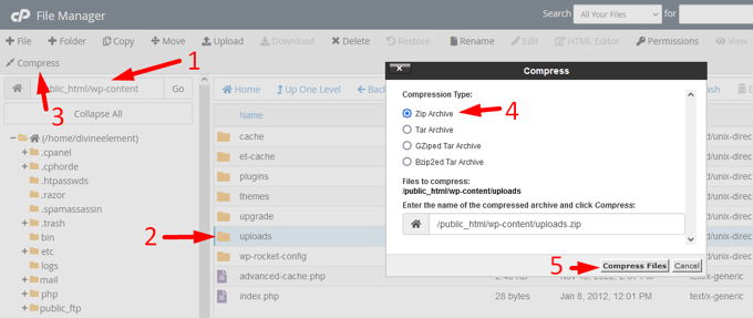 Wordpress mediabibliotheek downloaden Cpanel