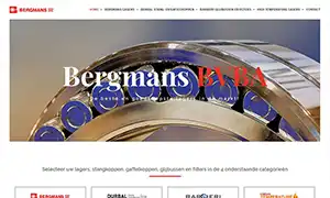 Website gaan laten maken Tholen - Zeeland - Sint Maartensdijk - Bergmans