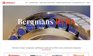 Website laten maken Zeeland - Bergmans
